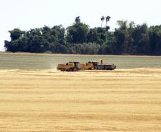 Segundo dados do Deral, da Secretaria de Estado da Agricultura, esse volume equivale a um aumento de 5% sobre a safra anterior, que rendeu cerca de 35,4 milhões de toneladas.