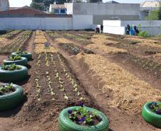 Trabalho de revitalização foi concluído e inaugurado. Projeto que tem a participação do Governo do Estado, prefeitura de Curitiba e moradores da região reúne 21 famílias, cada uma com um canteiro. 