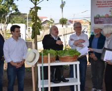Trabalho de revitalização foi concluído e inaugurado. Projeto que tem a participação do Governo do Estado, prefeitura de Curitiba e moradores da região reúne 21 famílias, cada uma com um canteiro. 