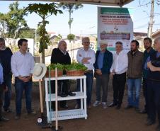 Trabalho de revitalização foi concluído e inaugurado. Projeto que tem a participação do Governo do Estado, prefeitura de Curitiba e moradores da região reúne 21 famílias, cada uma com um canteiro. 