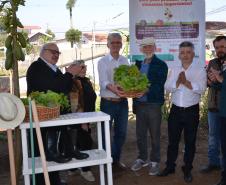 Trabalho de revitalização foi concluído e inaugurado. Projeto que tem a participação do Governo do Estado, prefeitura de Curitiba e moradores da regiãoreúne 21 famílias, cada uma com um canteiro. 