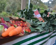 Agudos do Sul inaugura unidade de processamento de alimentos