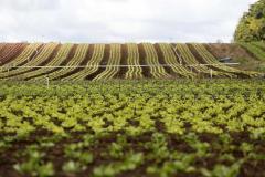 Secretaria Estadual da Agricultura firma parceiras para desenvolvimento territorial da região Norte