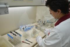 Adapar realiza cerca de 100 mil exames sanitários por ano