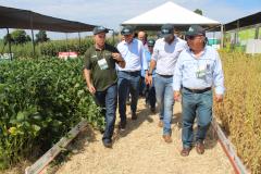 Dia de campo mostra novidades tecnológicas para o agronegócio