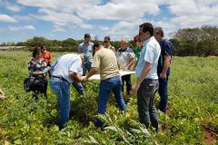 Semana de Campo reúne produtores de feijão e milho