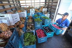 Governo do Estado apoia a produção e promove ações para garantir o abastecimento