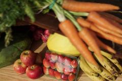 Tecnologia ajuda agricultura familiar a manter a venda de produtos