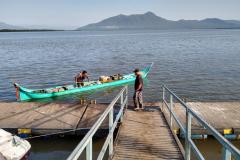 Agricultores familiares levam alimentos às ilhas do Paraná