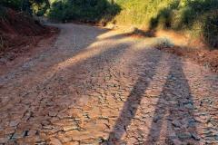 Pavimentação de estrada rural fortalece agroindústria familiar