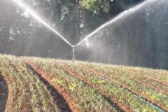 Adrianópolis - Córrego das Moças