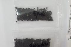 Adapar alerta sobre o recebimento de sementes não encomendadas