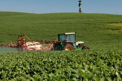 Adapar esclarece regras sobre o uso do Paraquat na safra 2020/2021