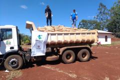 Governo do Estado entrega sementes a produtores atingidos por tempestade