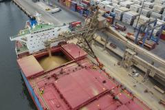 Exportações do agro paranaense somaram US$ 13,29 bi em 2020