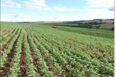 Fisiografia típica da Província Convexada.