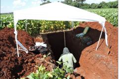 Perfil em trincheira