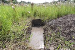 Lençol freático em planície