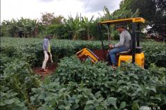 Abertura de perfil em lavoura.