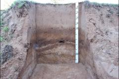 NEOSSOLO FLÚVICO Tb Distrófico gleissólico.  