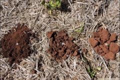 Estruturas granular e em blocos.