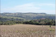 Cumeeira plana ao fundo com Neossolo Regolítico.