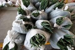 Compra Direta contribui para alimentação saudável e geração de renda no campo em Paranavaí