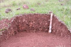 Neossolo Regolítico.