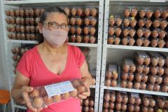 Agroindústrias do Vale do Ivaí ganham impulso com apoio do governo