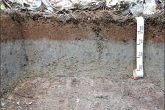 Plintossolo Háplico fase soterrada.