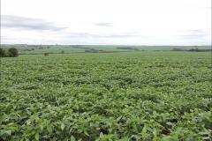 Relevo suave ondulado em província convexada.