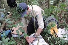 Coleta de material botânico em floresta fluvial.