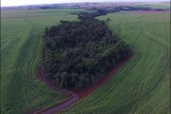 Nascente protegida por floresta fluvial.
