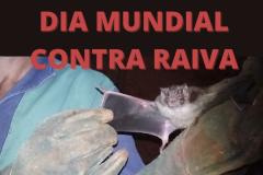 No Dia Mundial Contra a Raiva, Adapar alerta sobre a importância da vacinação