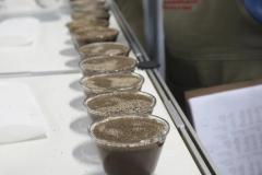 Ficafé reúne produtores, compradores e técnicos em evento virtual