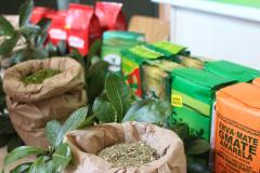 Investimento em novos mercados e produtos pode impulsionar erva-mate paranaense