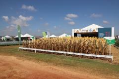 Tocantins busca no Paraná inspiração para fomentar cooperativismo na agricultura