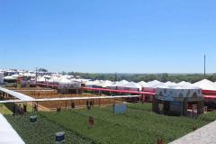 No Show Rural, Seagri destaca oportunidades para inovação no agro