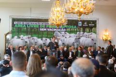 Um ano após conquista sanitária, Paraná reúne mais condições para crescer, diz governador