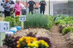 Programas de Governo do Estado fortalecem segurança alimentar no Paraná