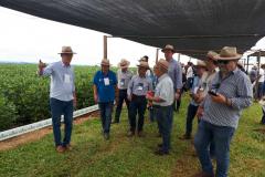 Eventos técnicos do agronegócio divulgam inovações no Norte do Paraná