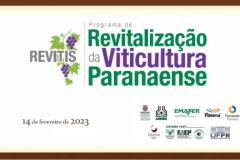 Programa de apoio à produção de uvas e derivados no Paraná reforça ações em 2023