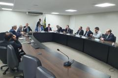 Em Brasília, Paraná discute prevenção da gripe aviária e abertura de mercado para proteínas animais