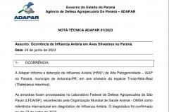Paraná registra primeiro caso de gripe aviária e Governo reforça protocolo de contenção