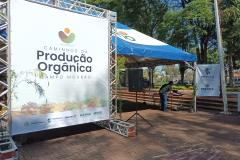 Eventos em Campo Mourão incentivam a produção orgânica e a segurança alimentar