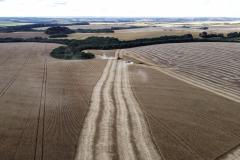 34 cidades do Paraná têm Valor Bruto de Produção Agropecuária acima de R$ 1 bilhão