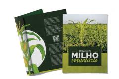 Livreto orienta produtores sobre como eliminar milho voluntário