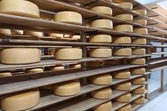 Castro é o 95º município a aderir ao Susaf e agroindústrias podem ampliar mercado