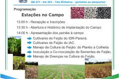 IDR-Paraná e Seab realizam tarde de campo sobre tecnologia de produção de feijão em Guarapuava