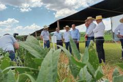 Eventos no Norte e Centro-Oeste discutem tecnologia e da inovação no agro